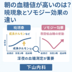 朝の血糖値上昇の原因として、暁現象とソモジー効果の違いをグラフで比較した図。成長ホルモンと夜間低血糖の反応をわかりやすく解説。
