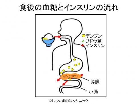 ご飯の消化