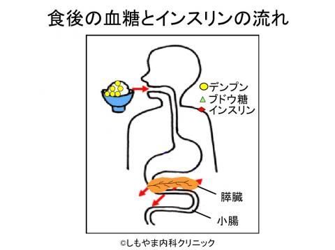 ご飯はデンプンです