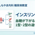 しもやま内科 糖尿病教室 第3回「インスリンの働き｜血糖が下がる仕組みと1型・2型の違い」のアイキャッチ画像