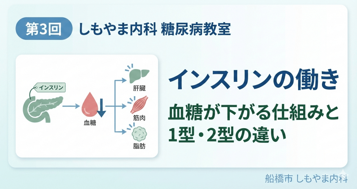 しもやま内科 糖尿病教室 第3回「インスリンの働き｜血糖が下がる仕組みと1型・2型の違い」のアイキャッチ画像