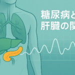糖尿病と肝臓の関係を示す医療イラスト。肝臓と膵臓が強調され、血糖変動の波形が重ねられている。