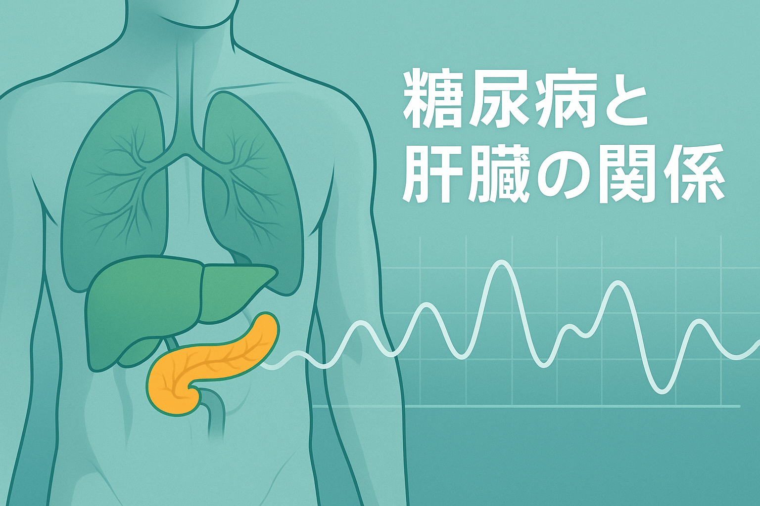糖尿病と肝臓の関係を示す医療イラスト。肝臓と膵臓が強調され、血糖変動の波形が重ねられている。