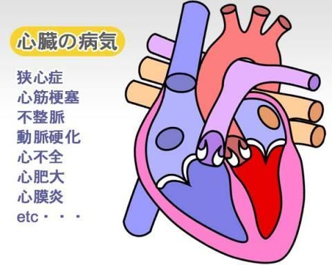 心臓の病気