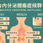 複合内分泌腫瘍症候群（MEN）の種類と主な腫瘍の組み合わせを図解｜MEN1・MEN2・MEN4の特徴を一覧で解説｜しもやま内科（船橋市）