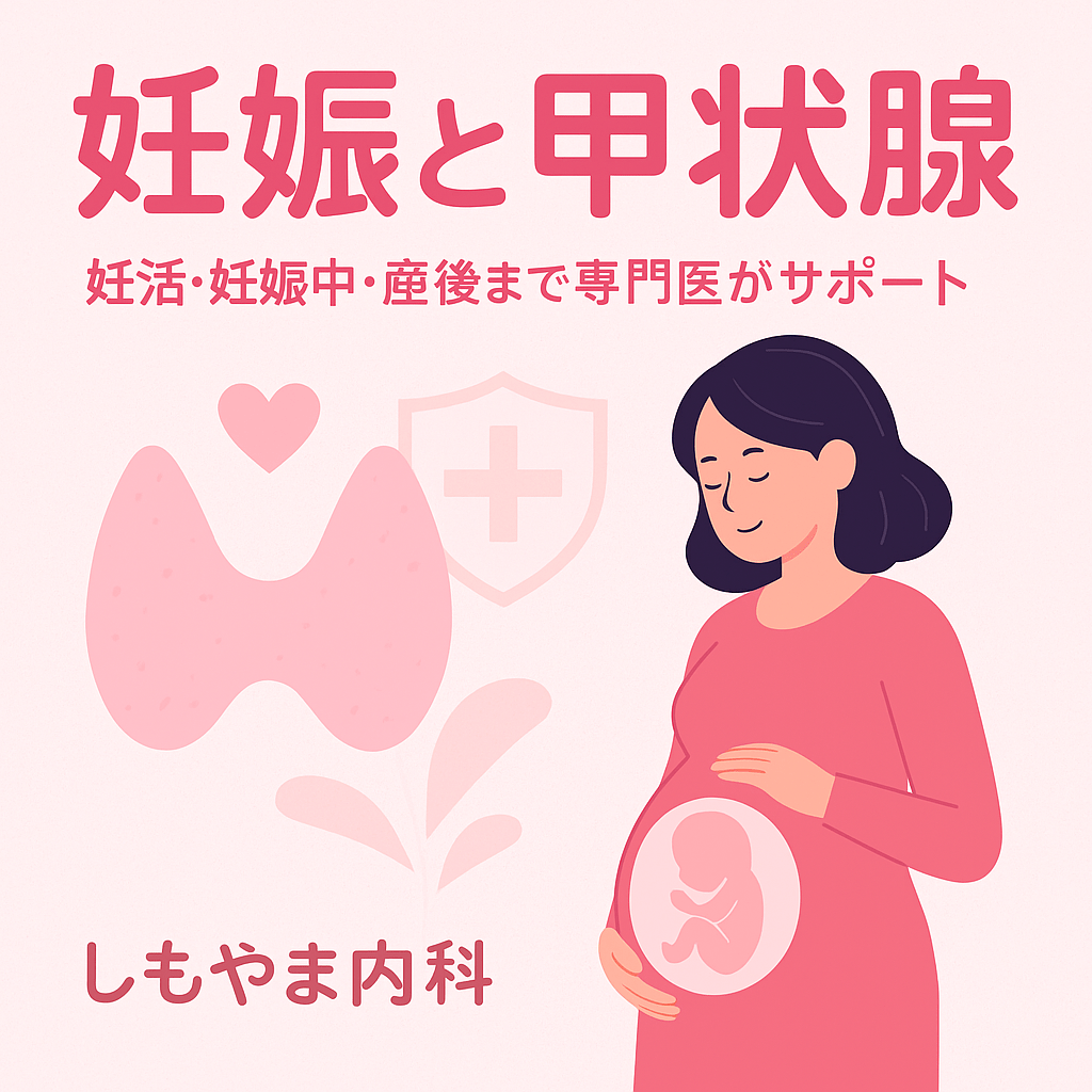 妊娠と甲状腺|妊活・妊娠中・産後のホルモン管理を甲状腺専門医がサポート|船橋市のしもやま内科