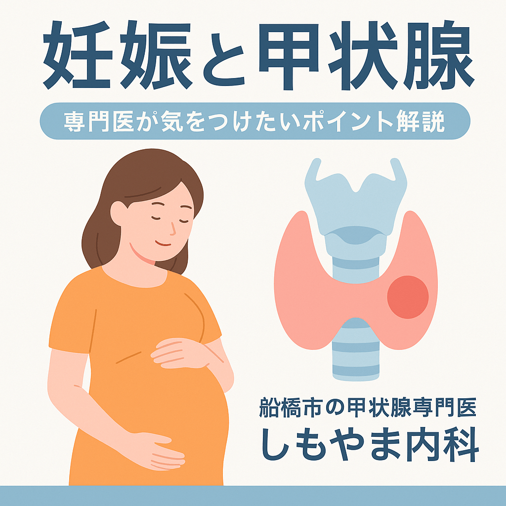 妊娠希望時の甲状腺機能管理|甲状腺専門医が詳しく解説|船橋市のしもやま内科