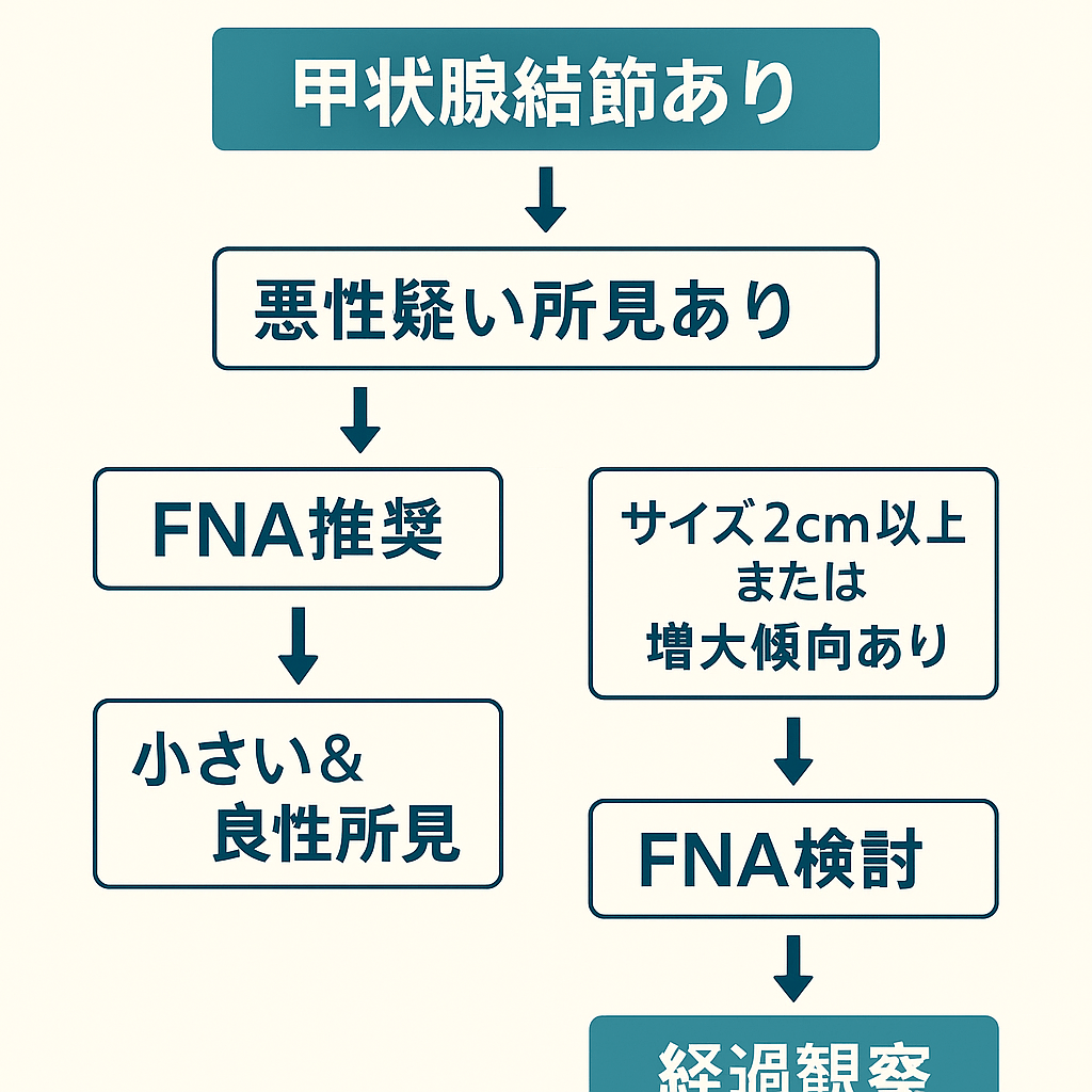 甲状腺結節のFNA適応フローチャート|悪性疑い所見があればFNA、所見が乏しくてもサイズ(概ね2cm以上)や増大傾向でFNA検討、小型で良性所見は経過観察