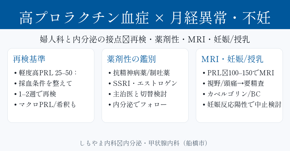 高プロラクチン血症 × 月経異常・不妊：再検基準・薬剤性鑑別・下垂体MRI適応・妊娠/授乳期の運用｜しもやま内科（船橋市）