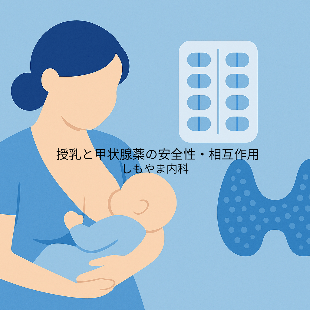 授乳と甲状腺薬の安全性・相互作用を表す青基調のイラスト|しもやま内科