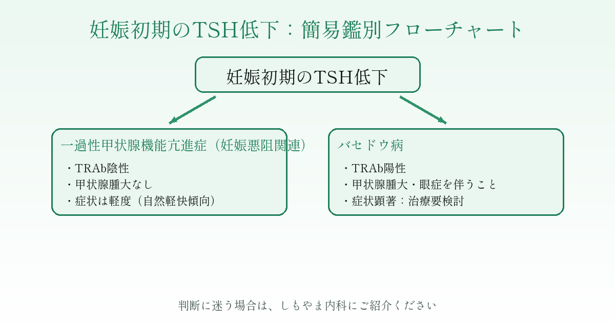 妊娠初期のTSH低下：簡易鑑別フローチャート（妊娠悪阻に伴う一過性亢進か、バセドウ病かの判別）