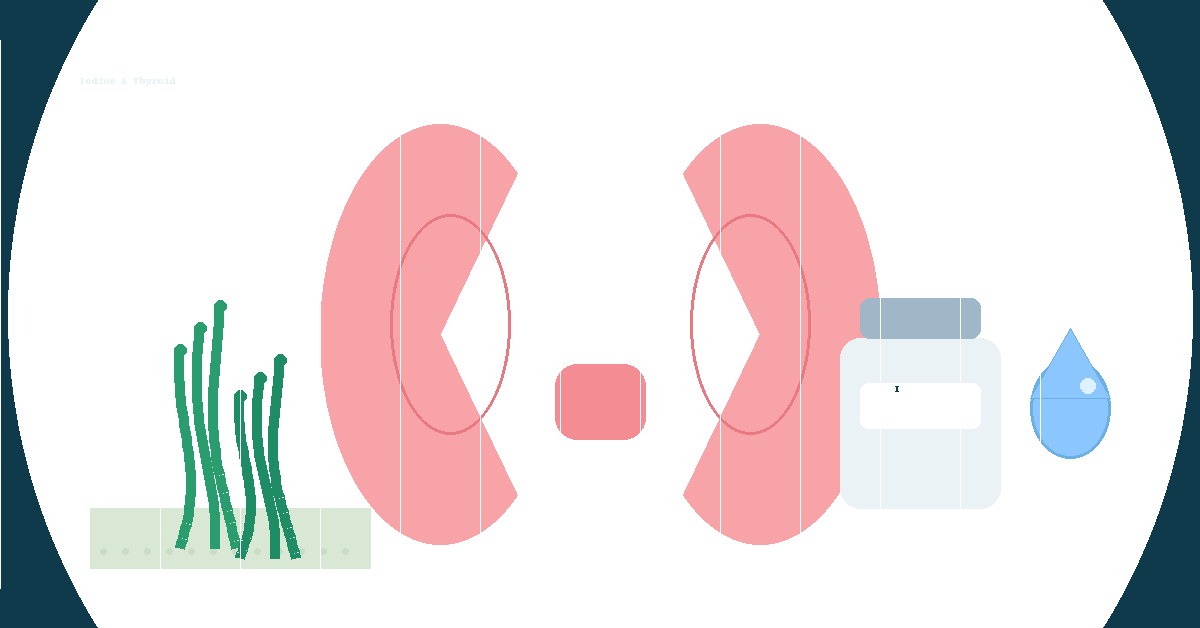 ヨウ素と甲状腺|食事・サプリ・造影剤の影響を表すアイキャッチ(甲状腺シルエット・海藻・造影剤イメージ)