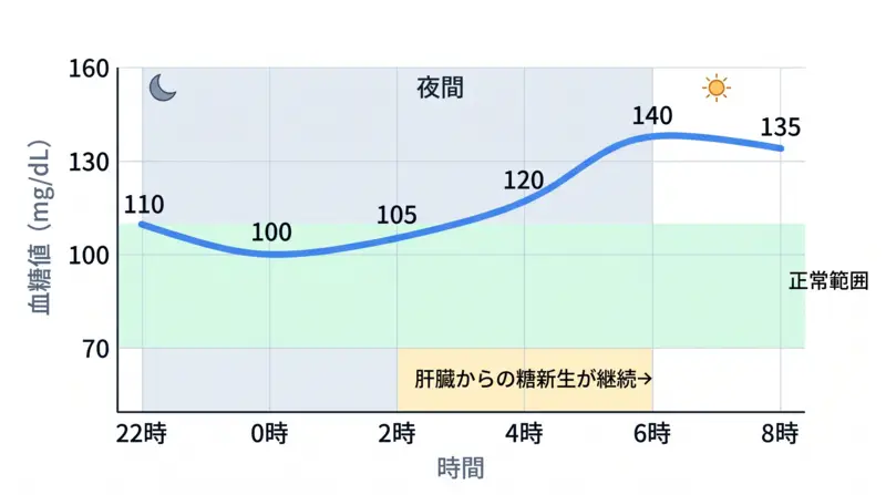 夜間～早朝の血糖変動イメージ