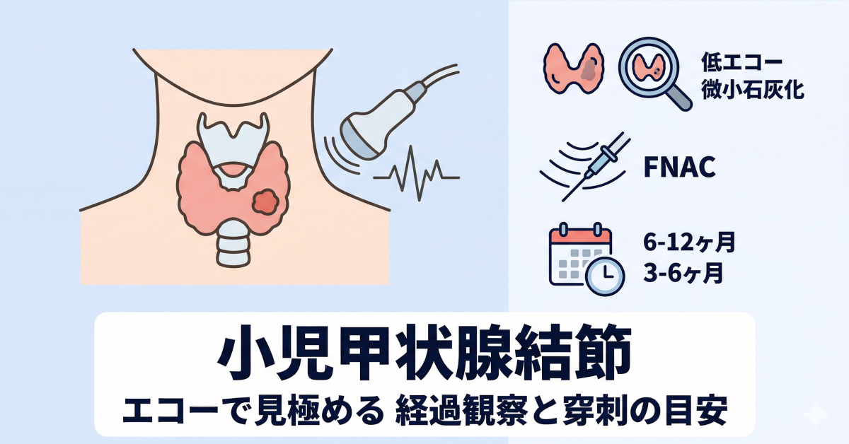 小児甲状腺結節のアイキャッチ画像。甲状腺イラスト、超音波エコー、穿刺吸引細胞診(FNAC)のイメージ、経過観察期間の目安(6〜12か月/3〜6か月)を表示。「エコーで見極める 経過観察と穿刺の目安」のテキスト付き。