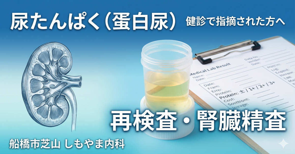 尿たんぱく（蛋白尿）の再検査・腎臓精査｜健診で指摘された方へ｜船橋市芝山 しもやま内科