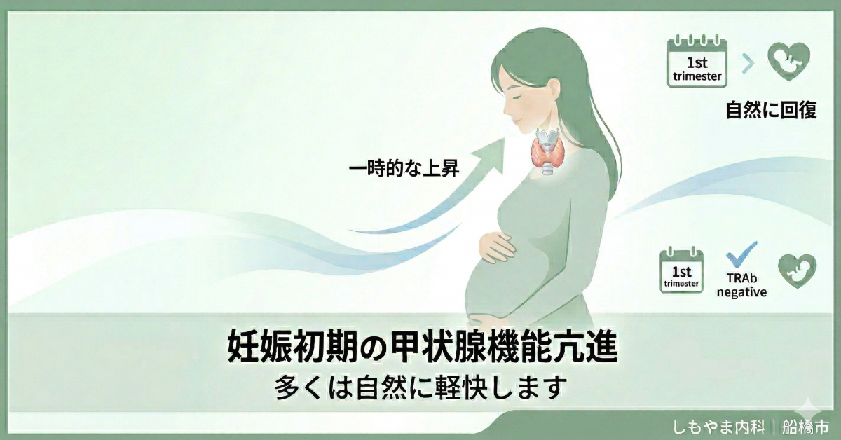 妊娠時一過性甲状腺機能亢進症(GTT)解説用イラスト|しもやま内科(船橋市)