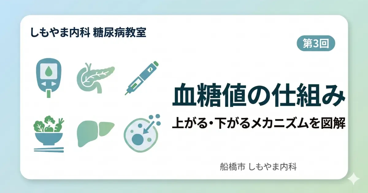 しもやま内科 糖尿病教室 第3回「血糖値の仕組み 上がる・下がるメカニズムを図解」のアイキャッチ画像。白背景のカードの左側には、血糖計、膵臓、インスリン注射器、食事、肝臓、細胞のフラットイラストが青緑色のトーンで配置されています。