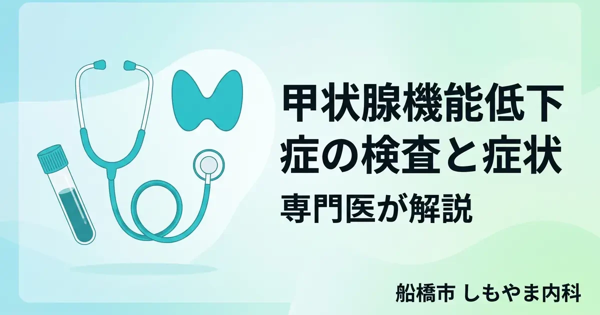 甲状腺機能低下症の検査と症状｜専門医が解説｜船橋市 しもやま内科