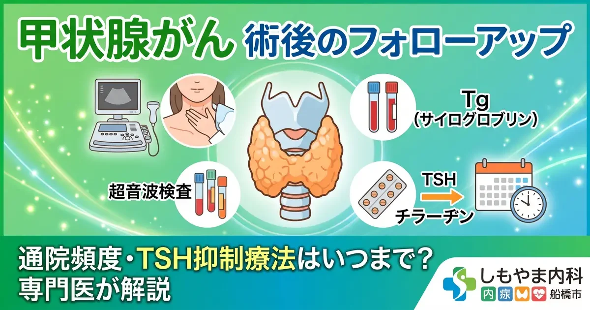 甲状腺がん術後のフォローアップ|通院頻度・TSH抑制療法はいつまで?専門医が解説【船橋市・しもやま内科】